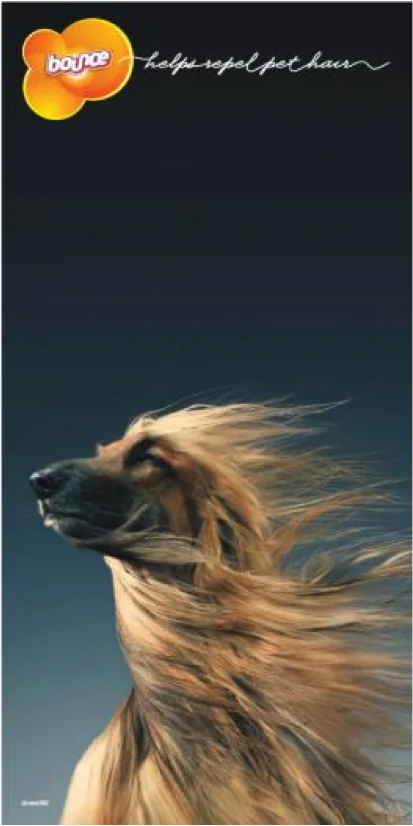 Bounce — pet print creative