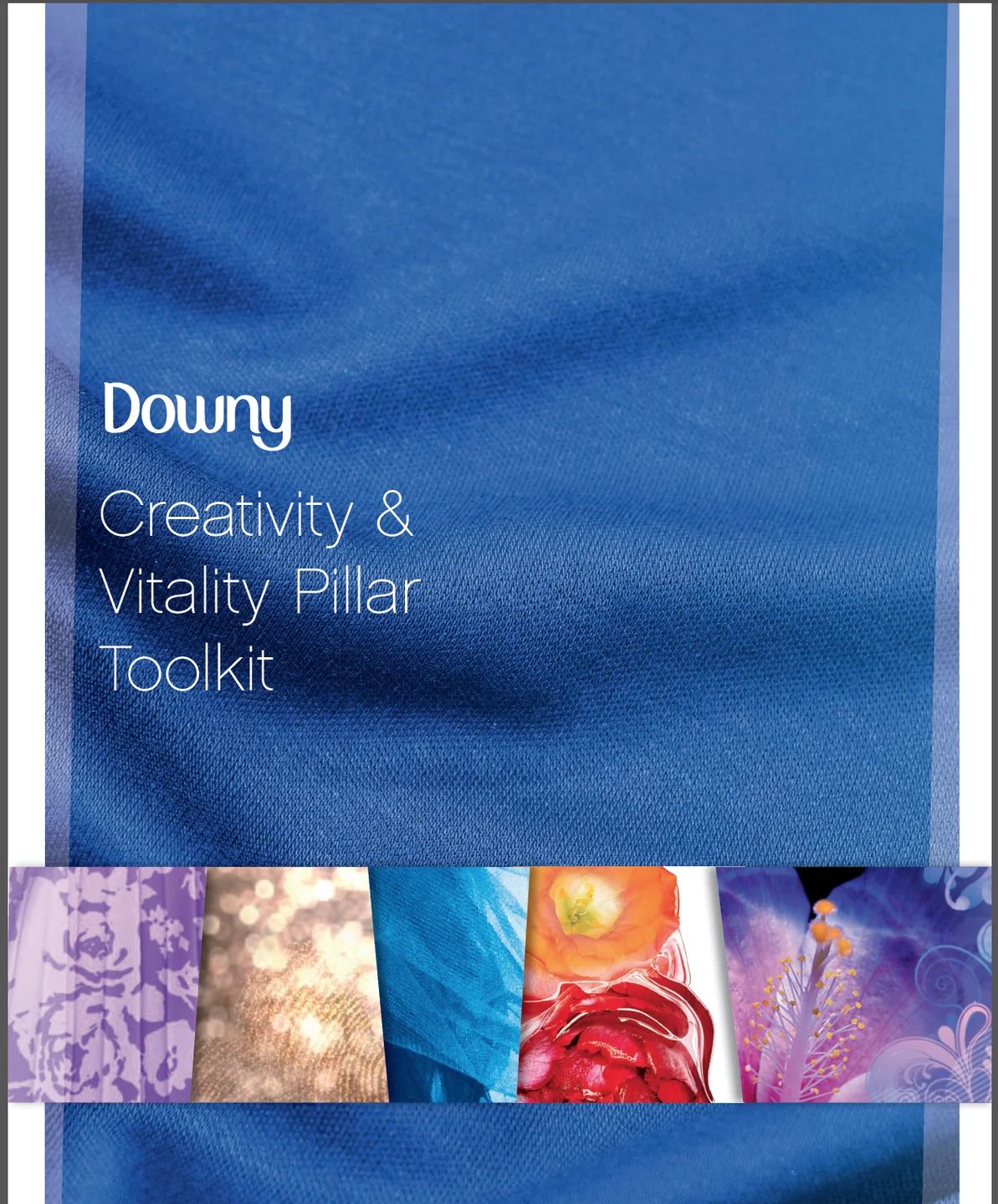 Downy — creativity and vitality toolkit